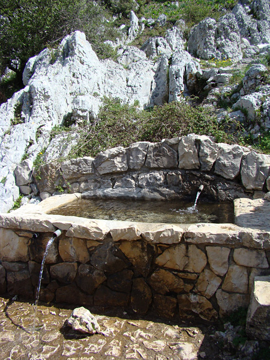 Fontanili del Lazio